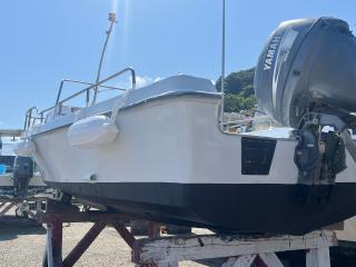 ヤマハ FISH17B