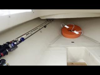 ヤマハ FISH17B