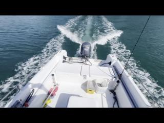 ヤマハ FISH17B