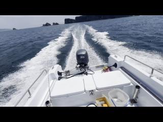 ヤマハ FISH17B