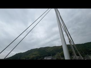 ヤンマー LF26Z