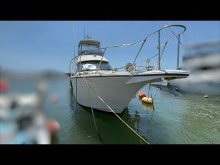 ヤマハ SF40(GE6-B)