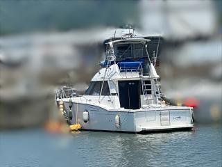 ヤマハ SF40(GE6-B)