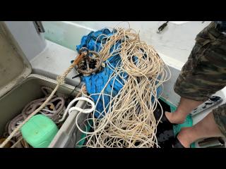ヤマハ UF-25(タックル25)