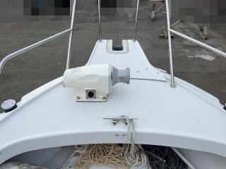 ヤンマー Zarpa26 (LF26BZ-IK)
