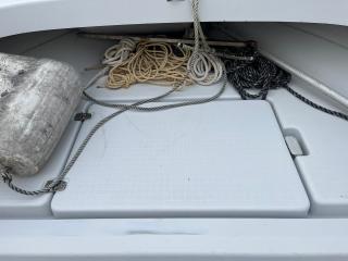 ヤンマー Zarpa26 (LF26BZ-IK)