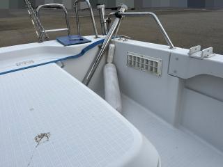 ヤンマー Zarpa26 (LF26BZ-IK)