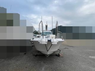 ヤンマー Zarpa26 (LF26BZ-IK)