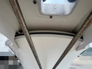ヤンマー Zarpa26 (LF26BZ-IK)