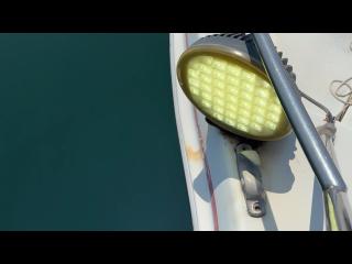 ニッサン CF1000