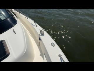 ヤンマー EX27Y