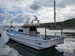 ヤマハ DY45F