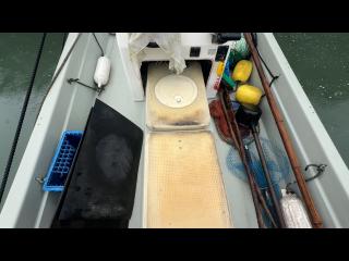 ヤマハ W19FH
