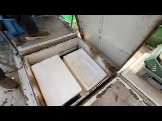 飯田造船所 60フィートイカ釣り漁船
