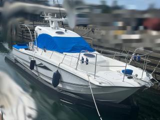ヤマハ DFR-36HT Cパッケージ(フルオプション)