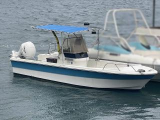 ヤマハ UF19