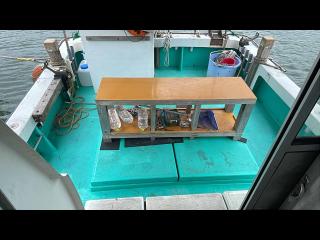 ヤンマー DE39