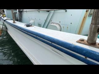 ヤンマー DE39