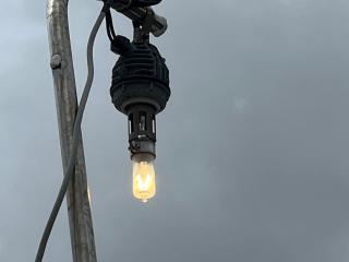 ヤンマー DE31F(あらしお)