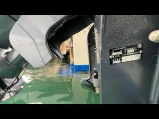 ヤマハ YDX-30 船外機仕様