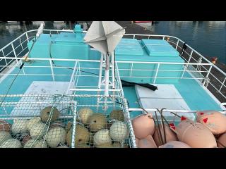 徳岡造船所 延縄60フィート 13トン