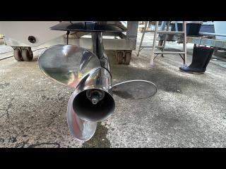 IMP Eleganza310