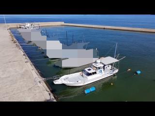 ヤマハ YDX-33
