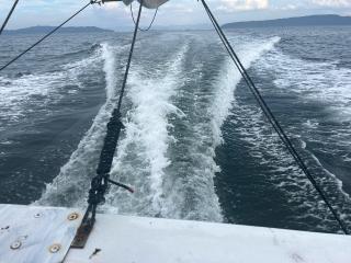 共立レジンクラフト 41f 遊漁船