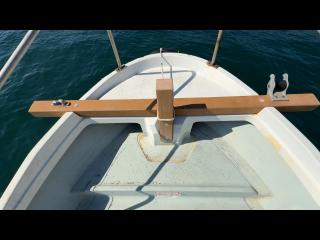 ヤンマー はやしおDE24B