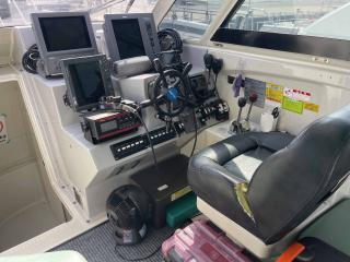 ヤンマー DE40P ザ遊漁