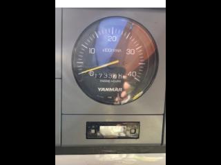 ヤンマー DE40P ザ遊漁