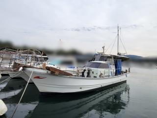 ヤンマー DE29Bはやしお