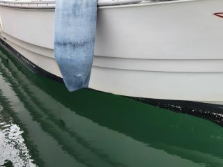 ヤンマー DE29Bはやしお