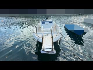 ヤンマー FX24(トップラン24)